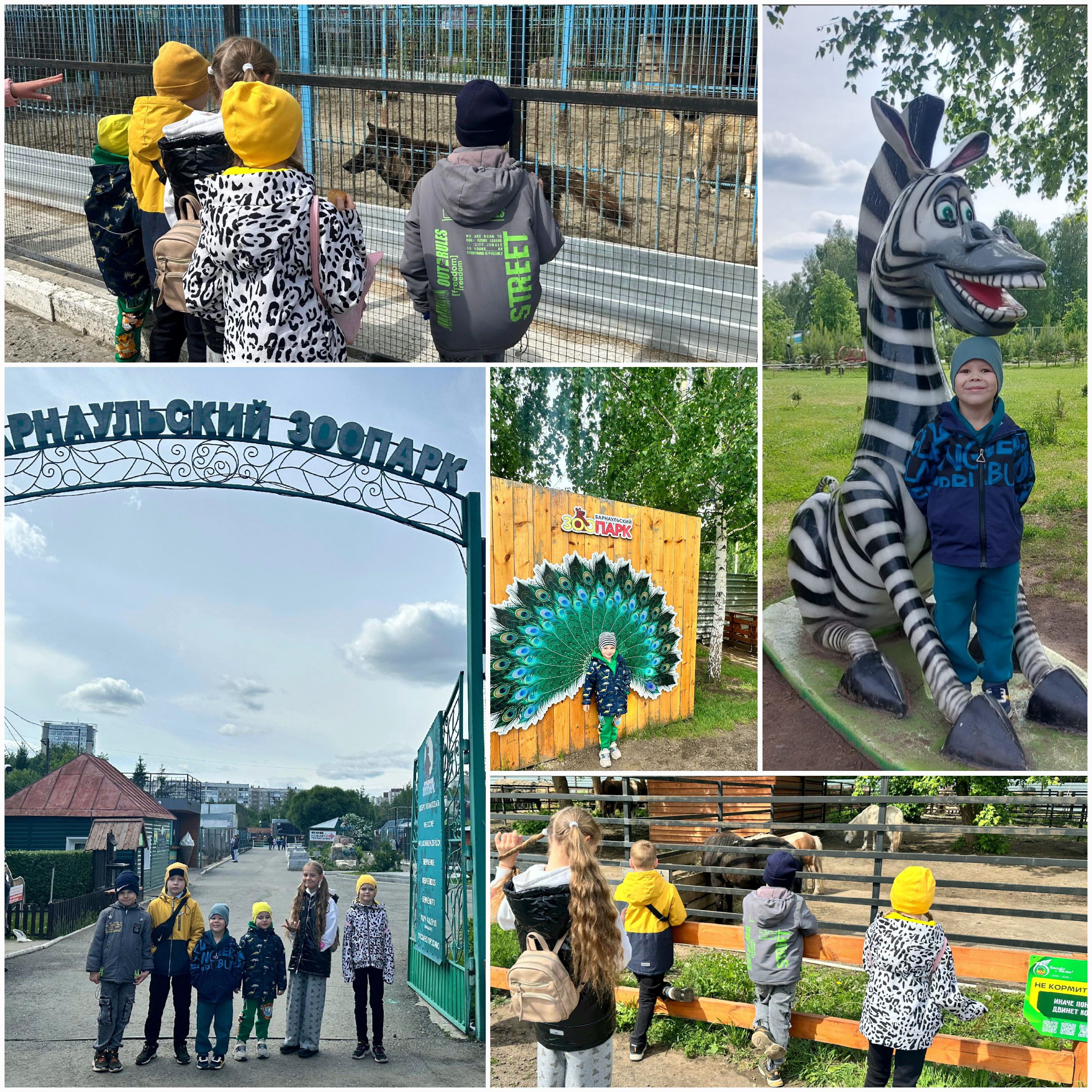 Подарок детям к празднику: Экскурсия в барнаульском зоопарке